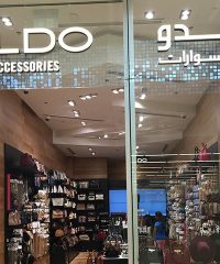 ALDO ACCESSORIES