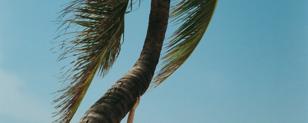 Refresh Your Summer Wardrobe With Paramidonna’s Latest Collection At Hamac