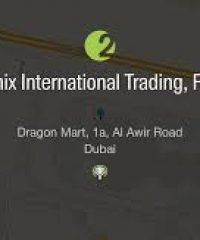 AMIX INTERNATIONAL TRADING