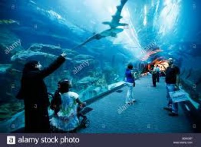 Dubai Aquarium &#038; Underwater Zoo