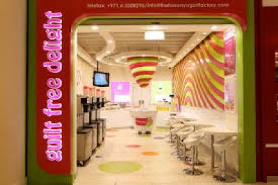 The Frozen Yogurt Factory