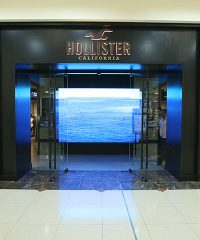 HOLLISTER