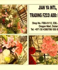 JIAN YA INTERNATIONAL TRADING FZCO.