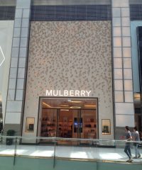 Mulberry