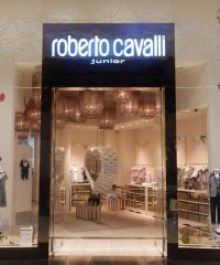 Roberto Cavalli Jr