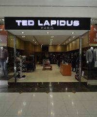 TED LAPIDUS