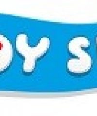 THE TOY STORE