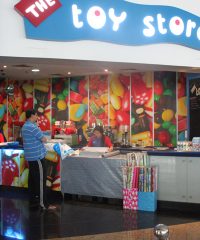 The Toy Store